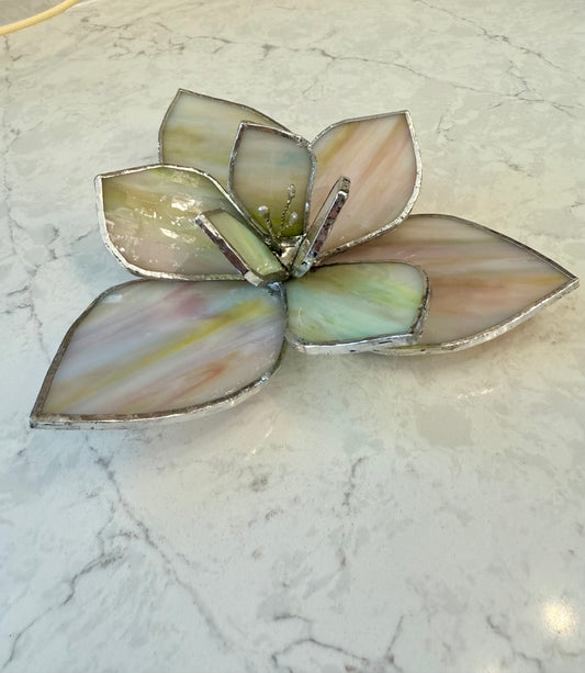Stained Glass Magnolia